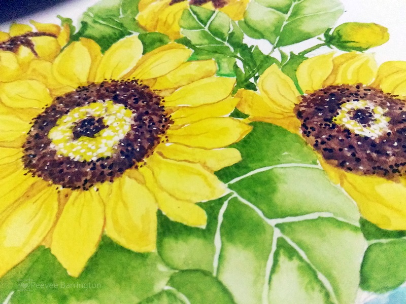 Sunflowers In Mason Jar Watercolor Series Of Drafts